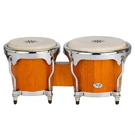 NATAL DRUMS BONGOS MATT HONEY