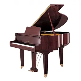 Yamaha GB1K PM