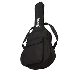 Ibanez ICB101