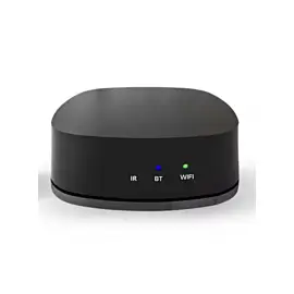 DV audio WMP PLUS