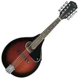 Stagg M30