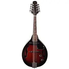 Stagg M50 E