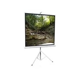 ELITE SCREENS T113NWS1