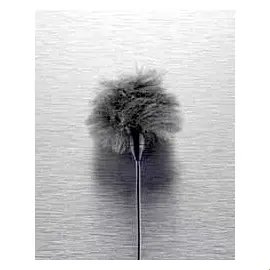 DPA microphones DUA0571