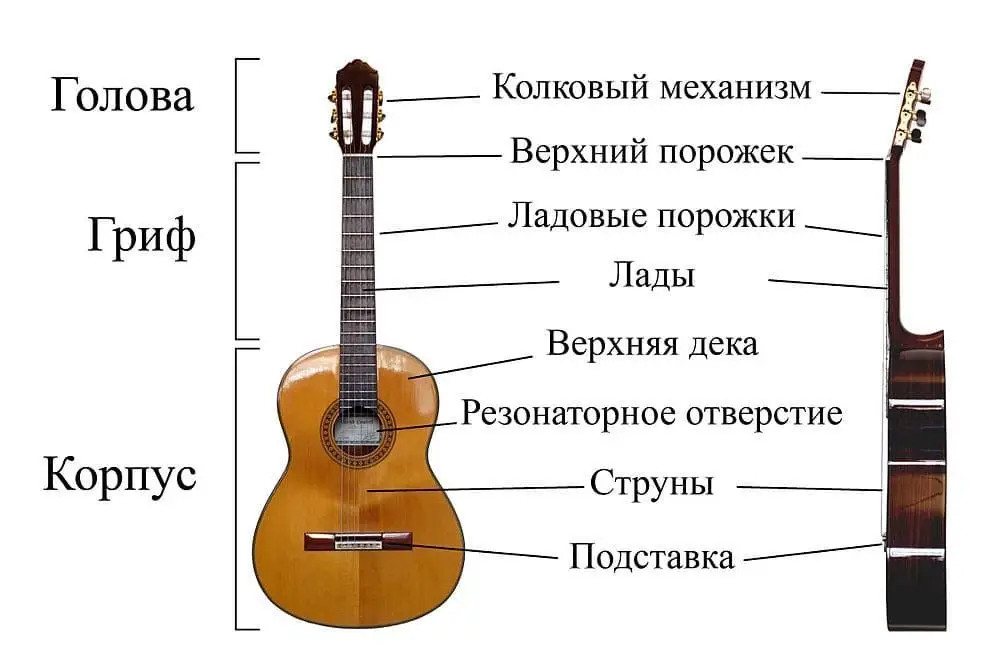конструкция гитары