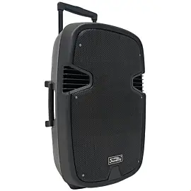 SOUNDKING LS911