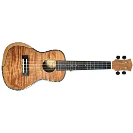 Parksons UK24MS