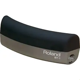 Roland BT1