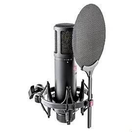 sE Electronics 2200