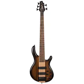 CORT C5 Plus OVMH (Antique Brown Burst)