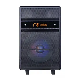 Maximum Acoustics MusicBAND.100
