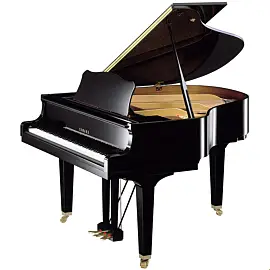 Yamaha GB1 PE