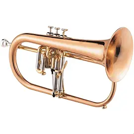 Jupiter JFH846RS