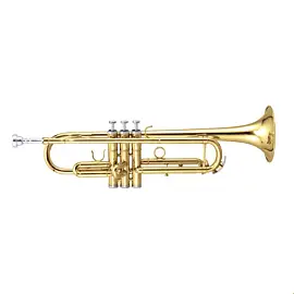 Maxtone TTC60L2 (TTC234L)