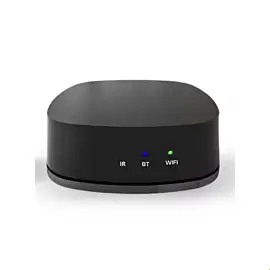 DV audio WMP PLUS