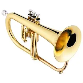Jupiter JFH846L