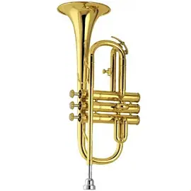 Amati AСR 300-0