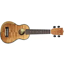 Parksons UK21MS