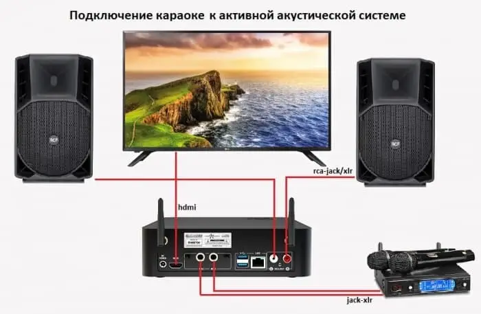 Караоке система для дома. Из чего она состоит? Soundmaster фото 1