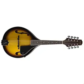 Stagg M40 S