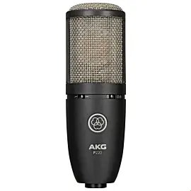 AKG P220