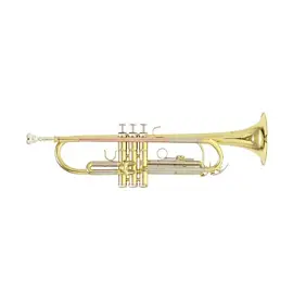 Roy Benson RB701070   