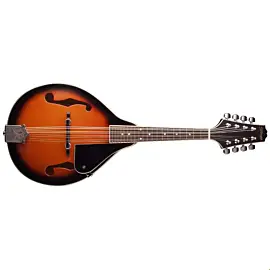 Stagg M20