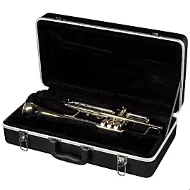 ROCKCASE RCABS26030