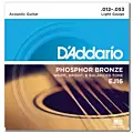 D`Addario EJ16