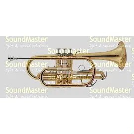 Maxtone TTC23L
