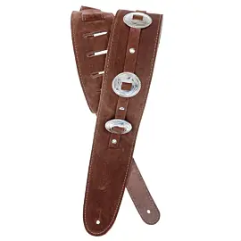 Planet Waves PW25SSC01